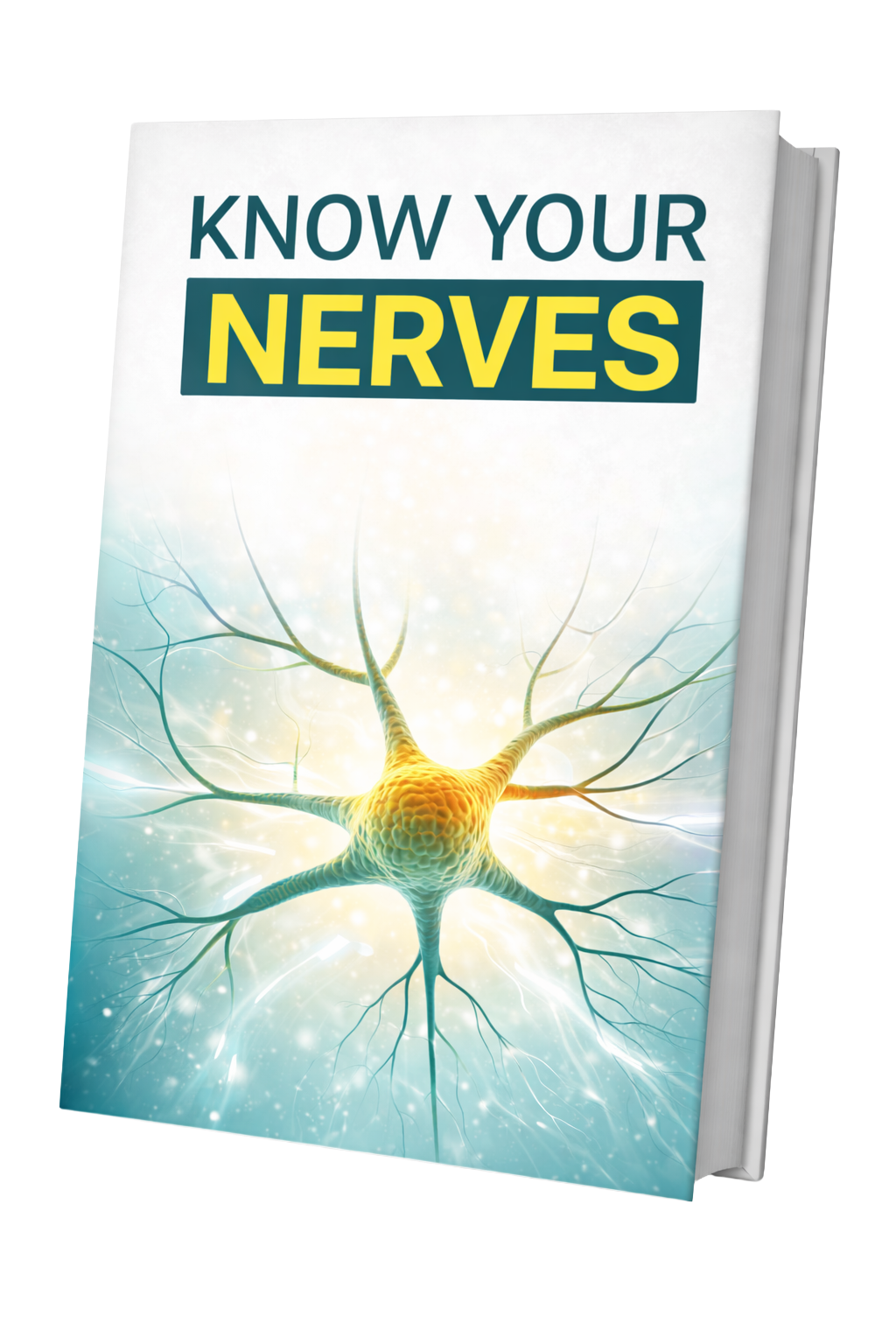 Bonus: Know Your Nerves