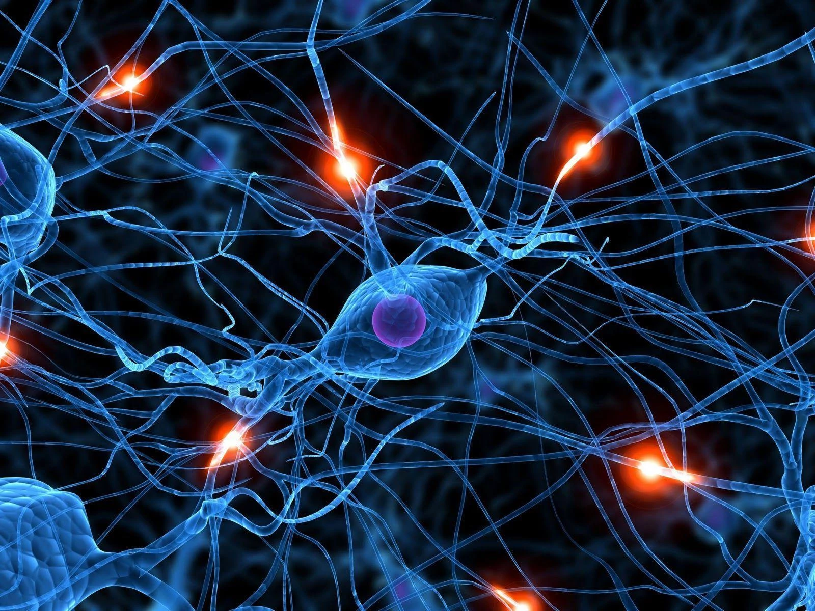 Neurons firing in the nervous system